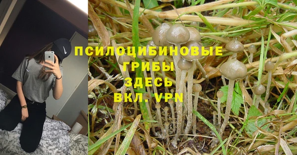Альфа ПВП Волоколамск