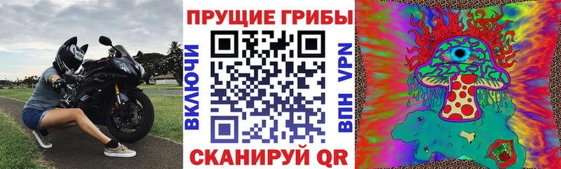Псилоцибиновые грибы прущие грибы Пестово